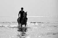 _DSC1563.ARW