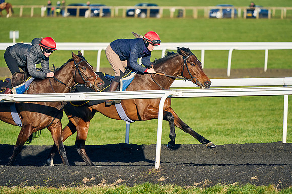 2022-02-26-Dominic-James-4450