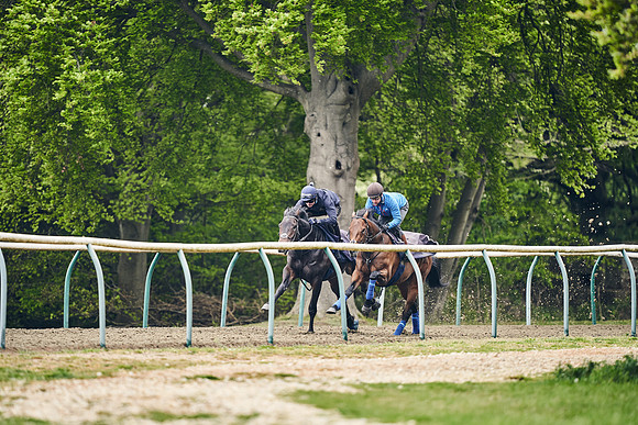 NEWMARKET-GALLOPS-25th-APRIL-DJ-0138