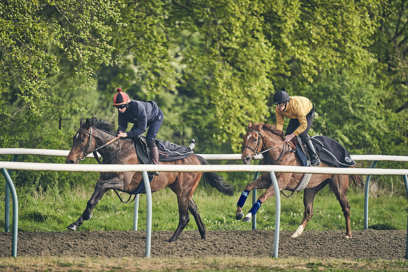 NEWMARKET-GALLOPS-24nd-APRIL-DJ-0575