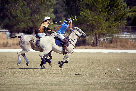 Oyster Cup Polo tournament