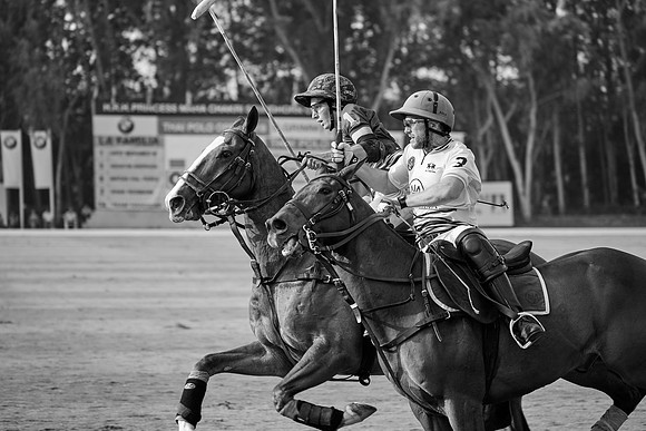 THAI-POLO-OPEN-2019_DJ_0782