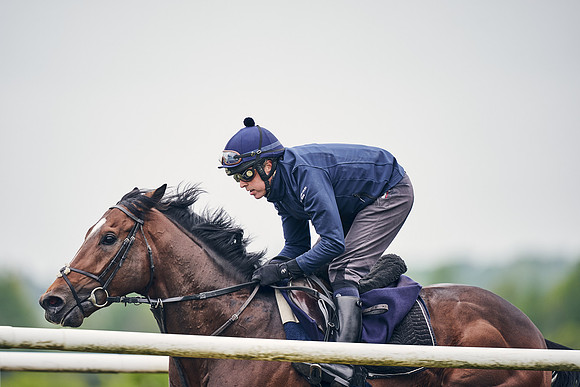NEWMARKET-GALLOPS-25th-APRIL-DJ-0073