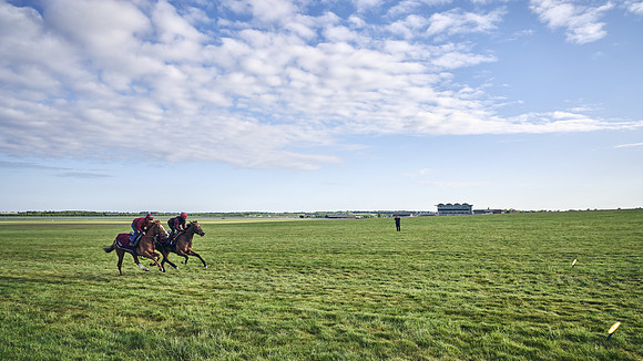 SUMMER GALLOPS-2nd-May-DJ-1779