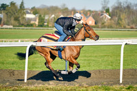 26th Feb 22 Warren Hill 011