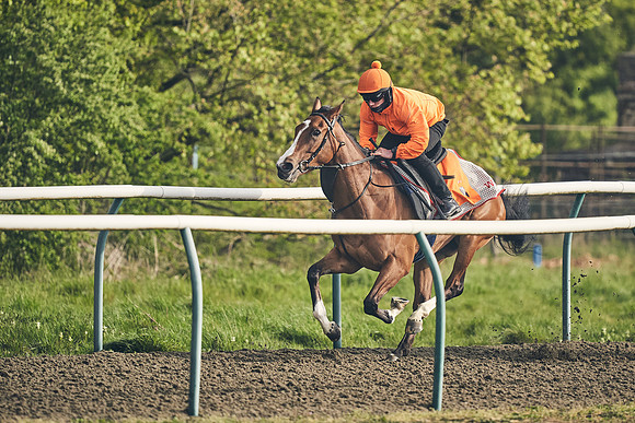 NEWMARKET-GALLOPS-24nd-APRIL-DJ-0599