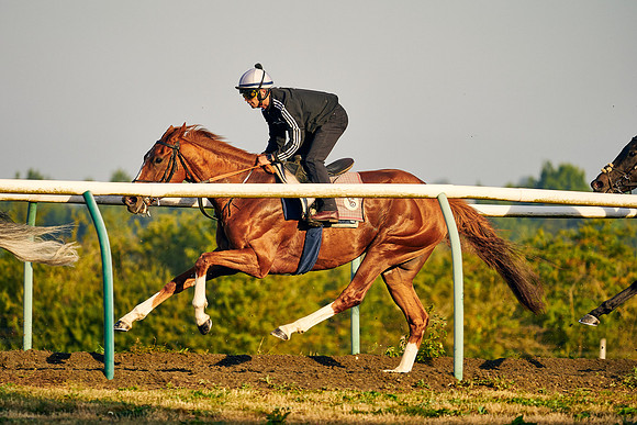 2021-09-08-Dominic-James-3012