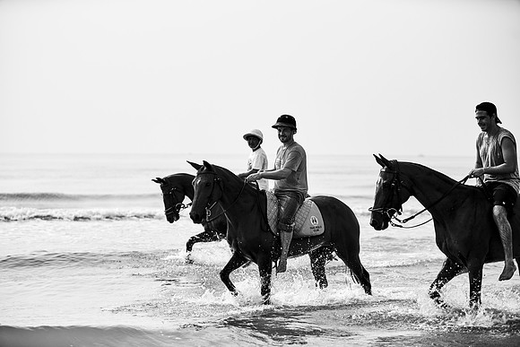 _DSC1740.ARW