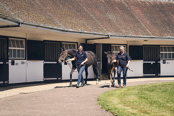 The-National-Stud-Dominic-James_DJ_4377