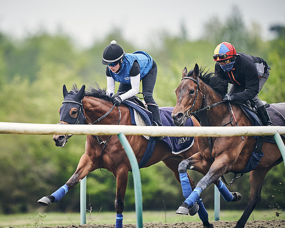NEWMARKET-GALLOPS-25th-APRIL-DJ-0024