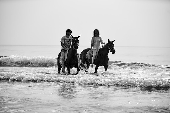 _DSC1595.ARW