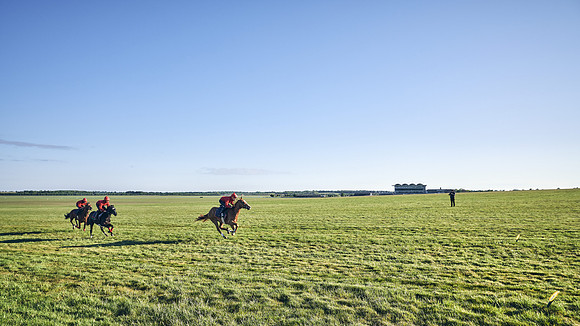 SUMMER GALLOPS-2nd-May-DJ-1426