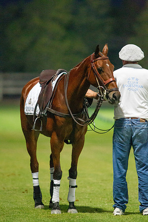 Polo Match at Ghantoot Polo Club - St. Regis vs ADCB for the Pink Polo Day charity