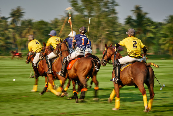 THAI-POLO-OPEN-2019_DJ_0514