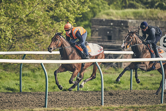 NEWMARKET-GALLOPS-24nd-APRIL-DJ-0671