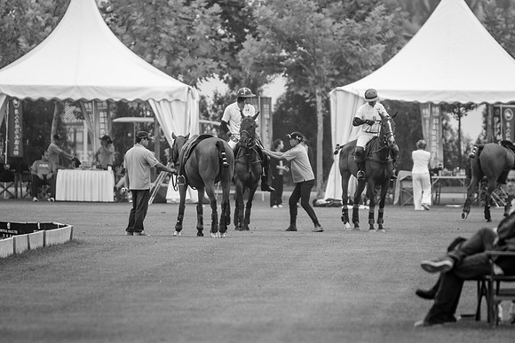 Royal Salute Gold Cup 2012 China Polo Open Tournament