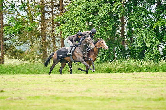 2024-06-06-Dominic-James-00252