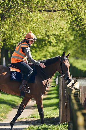 NEWMARKET-GALLOPS-22nd-APRIL-DJ-3757