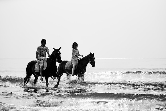 _DSC1605.ARW