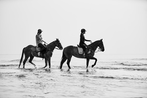 _DSC1640.ARW