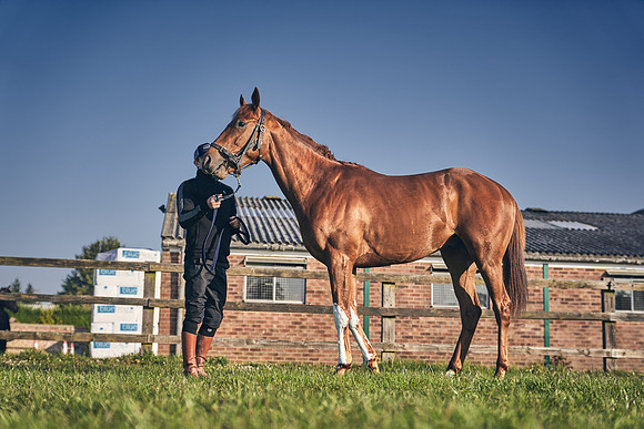 GEORGE-BOUGHEY-RACING-DJ-1088