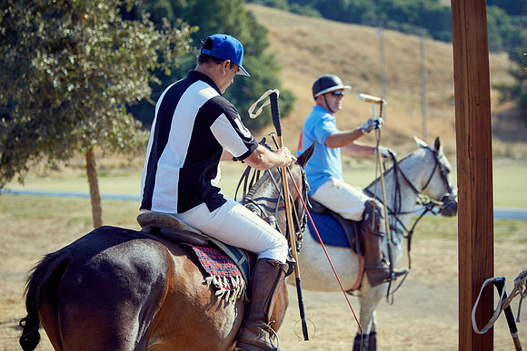 Oyster Cup Polo tournament