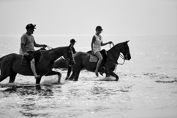 _DSC2748.ARW