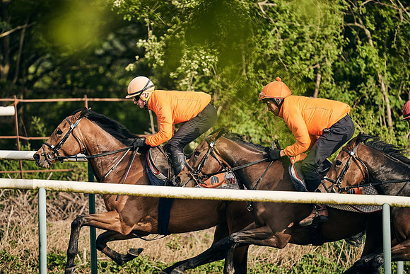 NEWMARKET-GALLOPS-24nd-APRIL-DJ-0650