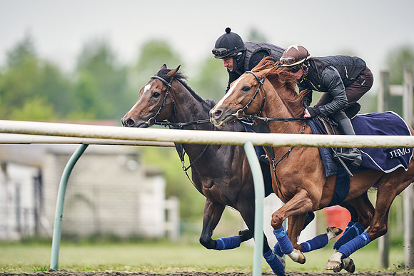NEWMARKET-GALLOPS-25th-APRIL-DJ-0099
