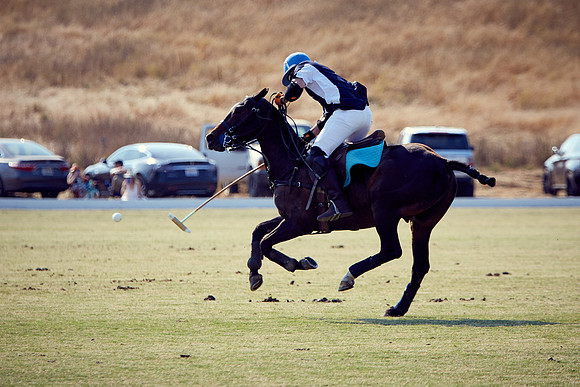 Oyster Cup Polo tournament