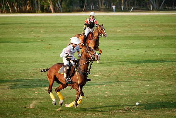 THAI-PINK-POLO-2019_DJ_3228