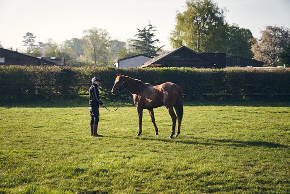 GEORGE-BOUGHEY-RACING-DJ-1375