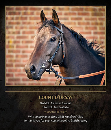 TE Count D’orsay