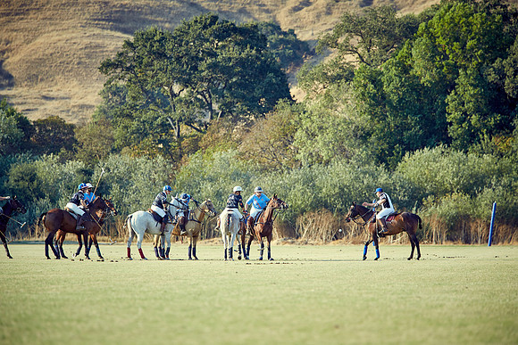 Oyster Cup Polo tournament