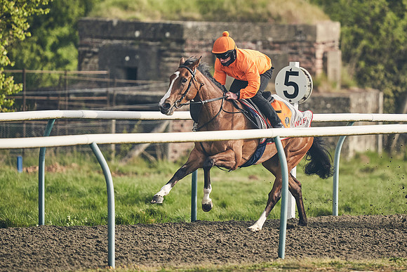 NEWMARKET-GALLOPS-24nd-APRIL-DJ-0595