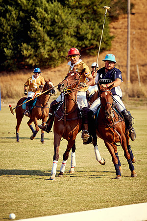 Oyster Cup Polo tournament