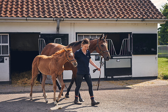 The-National-Stud-Dominic-James_DOM9528