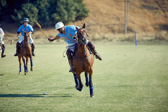 Oyster Cup Polo tournament