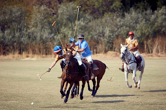 Oyster Cup Polo tournament