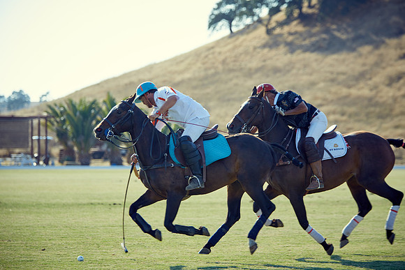 Oyster Cup Polo tournament