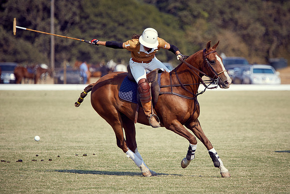 Oyster Cup Polo tournament