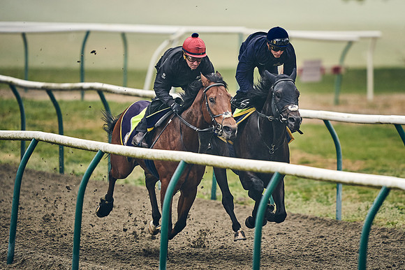 NEWMARKET-GALLOPS-24nd-APRIL-DJ-0365