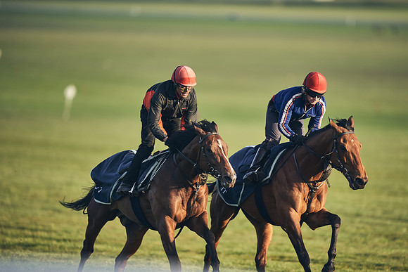 SUMMER GALLOPS-2nd-May-DJ-2179