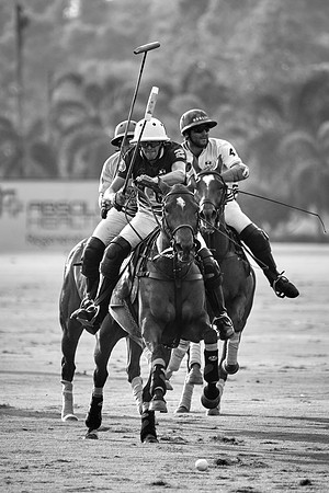 THAI-POLO-OPEN-2019_DJ_1208