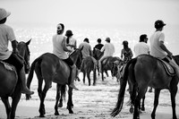 _DSC2708.ARW