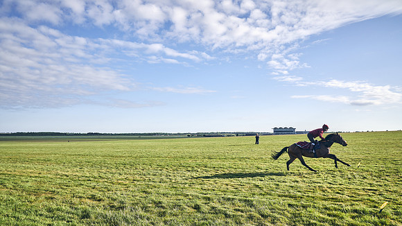 SUMMER GALLOPS-2nd-May-DJ-1599