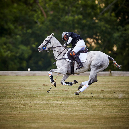 AQ1Y5018.CR2