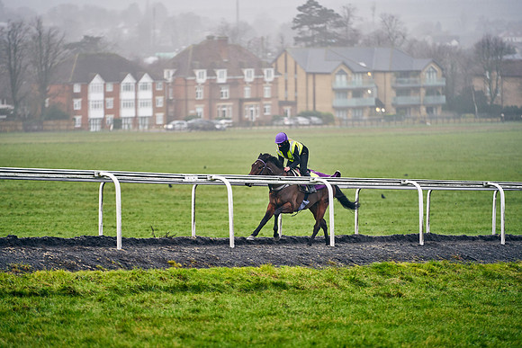 2021-01-26-Dominic-James-0959