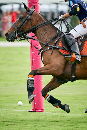 THAI-PINK-POLO-2019-FINALS_DJ_8261