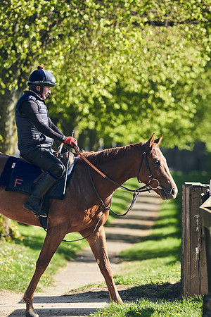 NEWMARKET-GALLOPS-22nd-APRIL-DJ-3771